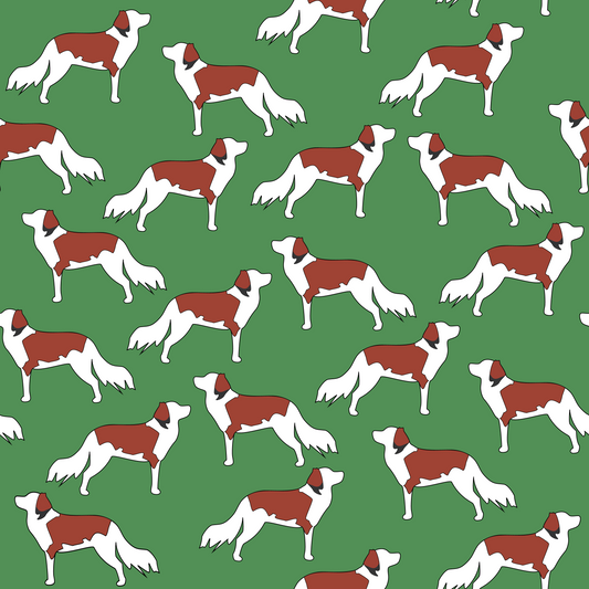 Kooiker Dog Wrapping paper - Kooikers Galore