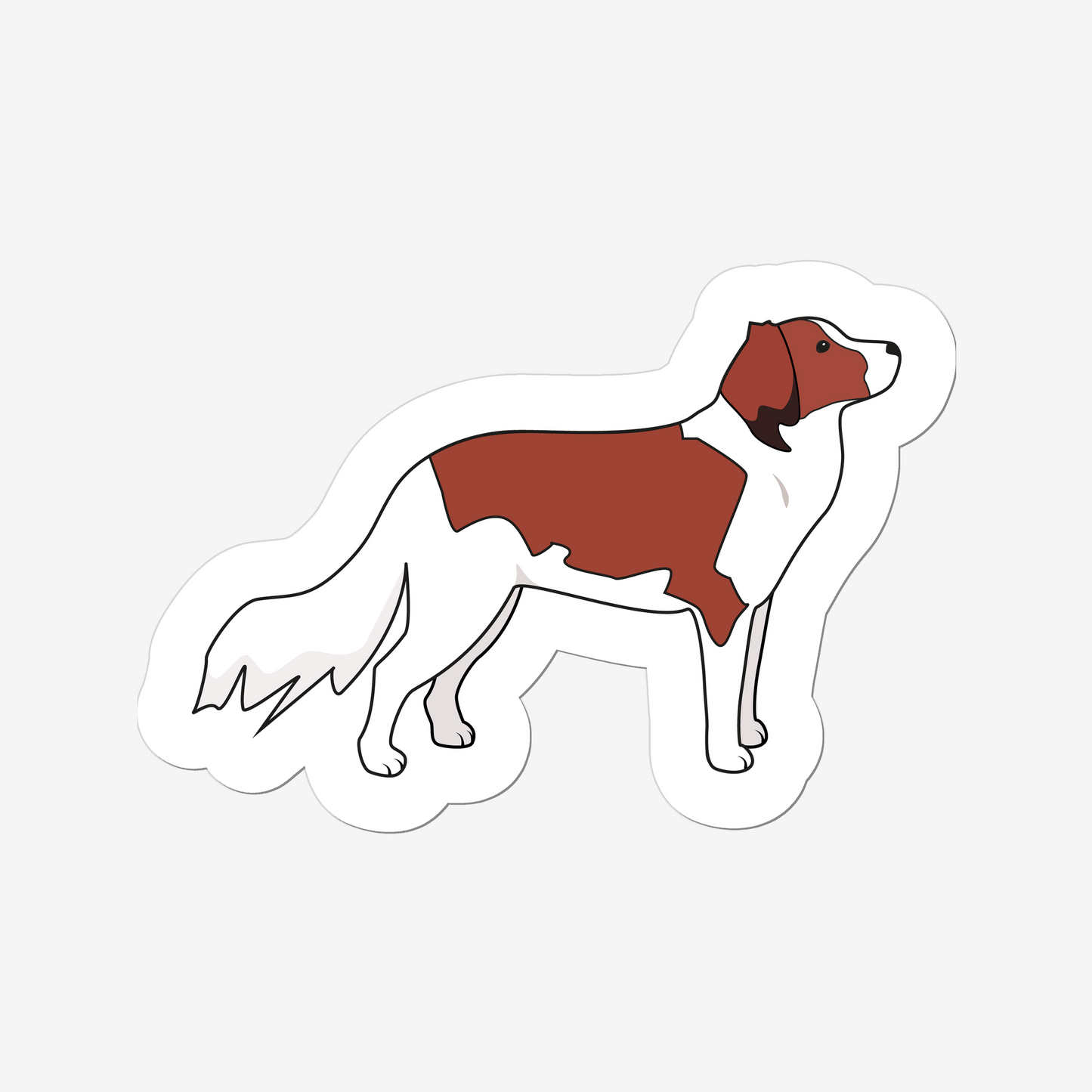 Kooikerhondje Dog Sticker - Kooiker Illustrated